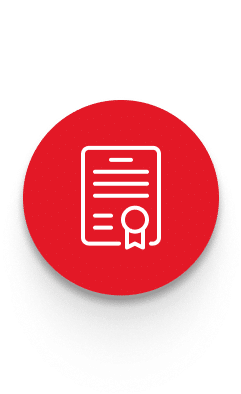 Red circle governance icon