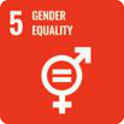United Nations Sustainable Development Goal 5 icon, gender equality